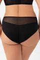 Gorsenia - Full brief - Gorsenia 67