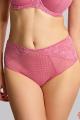 Panache Lingerie - Envy High-waisted brief