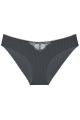 Triumph - Wild Iris Florale Brief