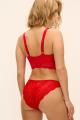 Freya Lingerie - Posie Brief
