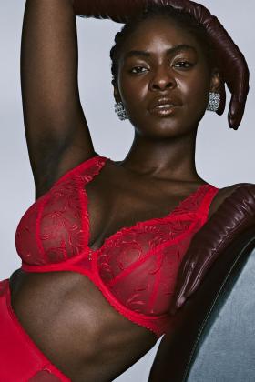 PrimaDonna Lingerie - Solisse Plunge bra D-G cup