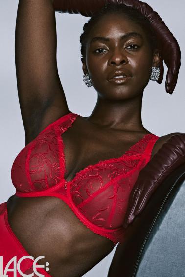 PrimaDonna Lingerie - Solisse Plunge bra D-G cup