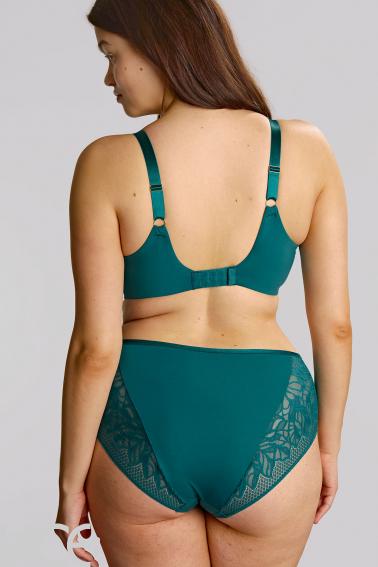 Sculptresse by Panache - Sophia High-waisted brief