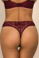 Ewa Bien - Thong - Ewa Bien 44