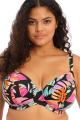 Elomi Swim - Tropical Falls Plunge Bikini Top G-N cup