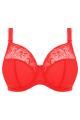 Elomi - Charley Plunge bra I-L cup