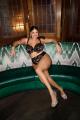 Elomi - Lucie Plunge bra I-M cup Elomi - Lucie Plunge bra I-M cup