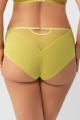 Gorsenia - Full brief - Gorsenia 43