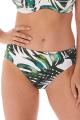 Fantasie Swim - Palm Valley Bikini Classic brief