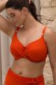 Fantasie Swim - Ottawa Bikini Top H-K cup