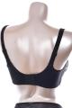 Empreinte - Amour Bra - Moulded cups E-G cup