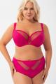 Gorsenia - Full brief - Gorsenia 44
