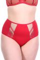 Gorsenia - Full Brief - Gorsenia K497
