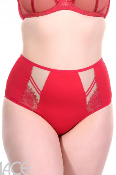 Gorsenia - Full Brief - Gorsenia 43
