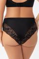 Gorsenia - Full brief - Gorsenia 69