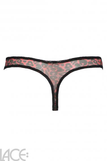 Gossard - Glossies Leopard Thong