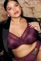 Elomi - Smooth Moulded Bra G-K cup Elomi - Smooth Moulded Bra G-K cup