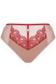 Gorsenia - Full brief - Gorsenia 18