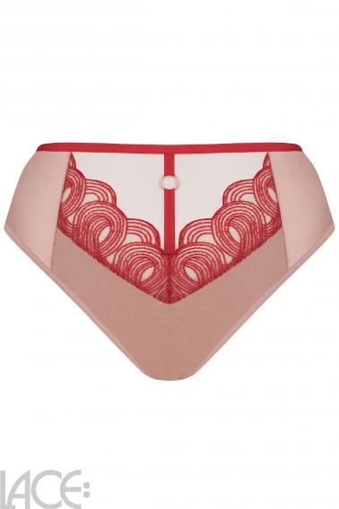 Gorsenia - Full brief - Gorsenia 18