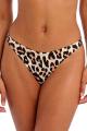 Freya Swim - Animal Instinct Bikini Tanga - High Leg