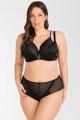 Gorsenia - Full brief - Gorsenia 25
