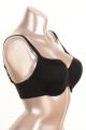 Panache Lingerie - Porcelain Elan T-shirt bra F-K cup