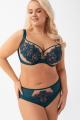 Gorsenia - Full brief - Gorsenia 68