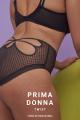 PrimaDonna Twist - Glass Beach Hot pants