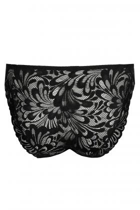 PrimaDonna Twist - Rupi Brief