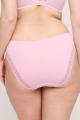 PrimaDonna Lingerie - Salerno Brief