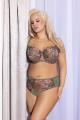 Gorsenia - Full brief - Gorsenia 65