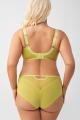 Gorsenia - Full brief - Gorsenia 43
