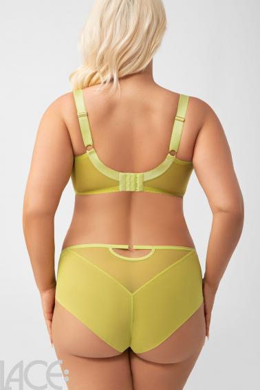 Gorsenia - Full brief - Gorsenia 43