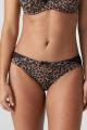 PrimaDonna Lingerie - Madison Brief