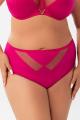Gorsenia - Full brief - Gorsenia 44