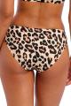 Freya Swim - Animal Instinct Bikini Classic brief