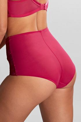 Panache Lingerie - Clara High-waisted brief