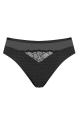 Triumph - Azalea Florale Brief