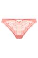 Freya Lingerie - Fascinate Brief