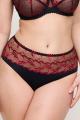 PrimaDonna Lingerie - Springdale Full brief