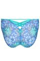 PrimaDonna Twist - Morro Bay Brief