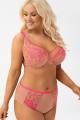 Gorsenia - Full brief - Gorsenia 83