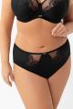 Gorsenia - Full brief - Gorsenia 64