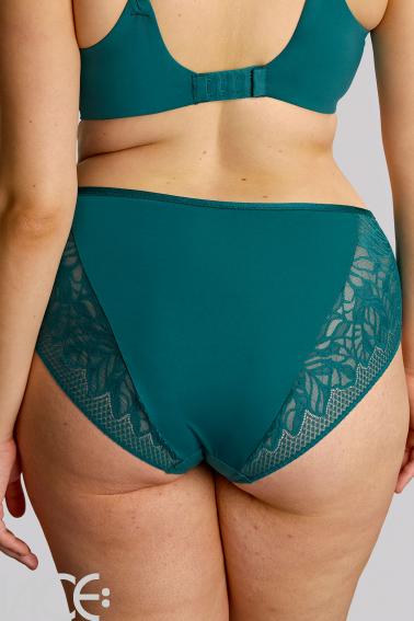 Sculptresse by Panache - Sophia High-waisted brief