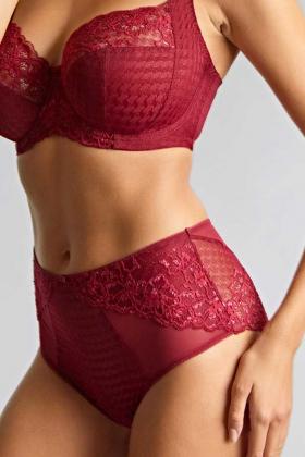 Panache Lingerie - Envy High-waisted brief