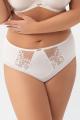 Gorsenia - Full brief - Gorsenia 64 Gorsenia - Full brief - Gorsenia 64