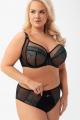 Gorsenia - Full brief - Gorsenia 67