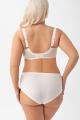 Gorsenia - Full brief - Gorsenia 64