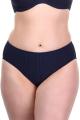 Fantasie Swim - Long Island Bikini Classic brief