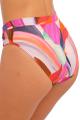 Fantasie Swim - Aguada Beach Bikini Classic brief